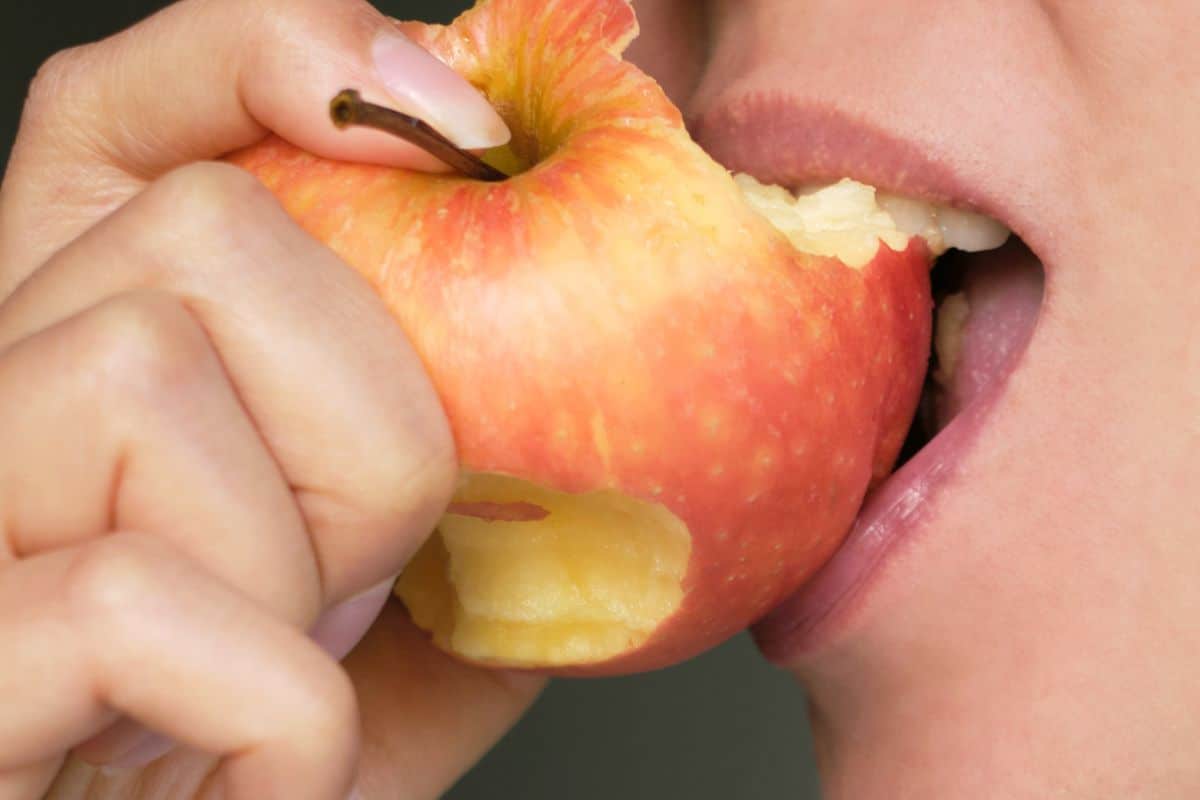 dentist in Chandler AZ